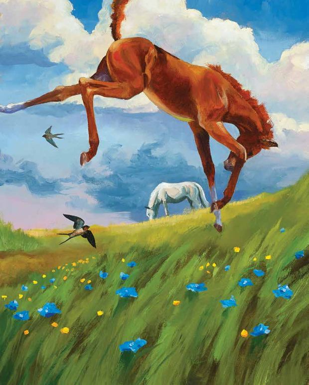 Oil painting of a chestnut foal bucking through a green hillside of wildflowers.